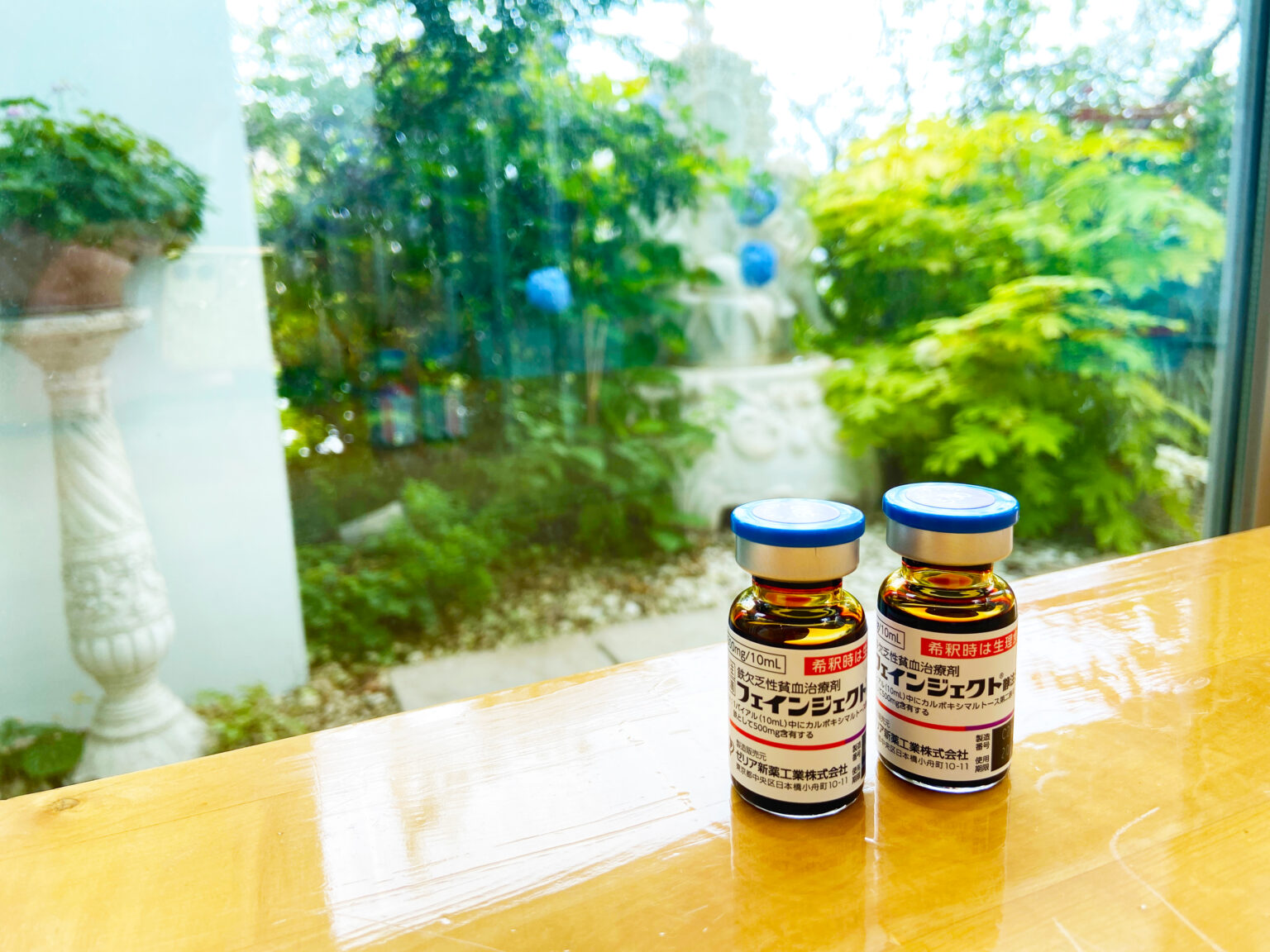 フェリンジェクトのリーフレット