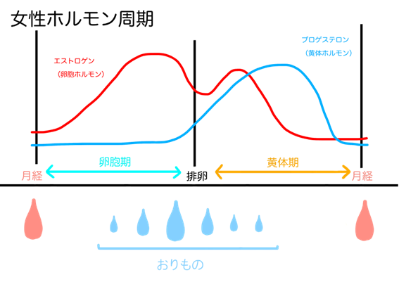 妊娠中にみられる「おりもの」の特徴と注意すべきポイント【医師監修】｜ガーデンヒルズウィメンズクリニック｜福岡市中央区の産婦人科